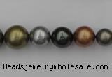 CSB410 15.5 inches 8mm - 16mm round mixed color shell pearl beads