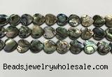 CSB4114 15.5 inches 14mm heart abalone shell beads wholesale