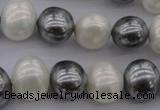 CSB697 15.5 inches 13*15mm oval mixed color shell pearl beads