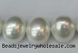 CSB825 15.5 inches 16*19mm oval shell pearl beads wholesale