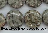 CSF01 15.5 inches 20mm flat round shell fossil jasper beads