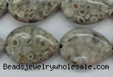 CSF03 15.5 inches 18*25mm flat teardrop shell fossil jasper beads