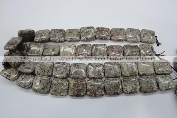 CSF06 15.5 inches 20*20mm square shell fossil jasper beads