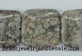 CSF07 15.5 inches 25*25mm square shell fossil jasper beads