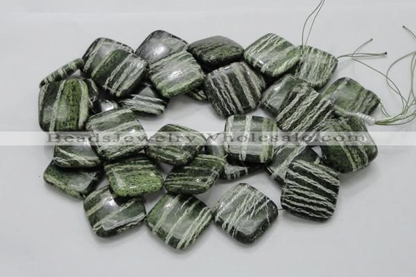 CSJ33 15.5 inches 30*30mm diamond green silver line jasper beads