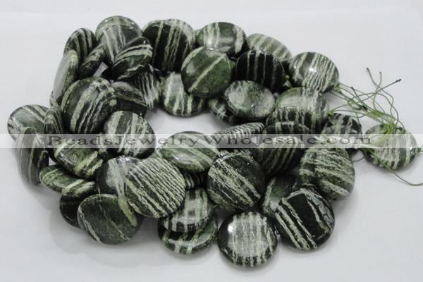 CSJ46 15.5 inches 30mm flat round green silver line jasper beads