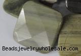 CSL122 15.5 inches 30*30mm faceted square silver leaf jasper beads