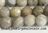 CSL157 15.5 inches 6mm faceted 

round sliver leaf jasper beads