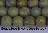 CSL203 15.5 inches 10mm round silver leaf jasper beads wholesale