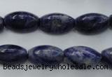 CSO359 15.5 inches 11*18mm trihedron natural sodalite beads