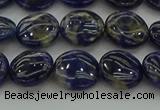 CSO671 15.5 inches 12mm flat round sodalite gemstone beads