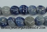 CSO80 15.5 inches 12mm flat round sodalite gemstone beads wholesale