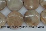 CSS239 15.5 inches 20mm flat round natural sunstone beads