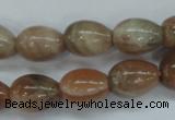 CSS248 15.5 inches 12*16mm teardrop natural sunstone beads