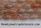 CSS265 15.5 inches 5*8mm rice sunstone beads wholesale