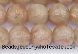 CSS792 15.5 inches 10mm round golden sunstone beads wholesale