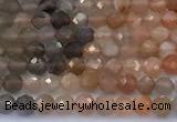 CSS847 15 inches 4mm faceted round sunstone beads