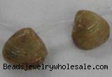 CTD1585 Top drilled 13*15mm - 18*20mm freeform shell fossil beads