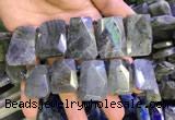 CTD2105 Top drilled 20*28mm - 22*32mm faceted freeform labradorite beads