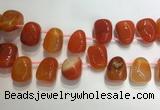 CTD2124 Top drilled 15*25mm - 18*25mm freeform agate beads