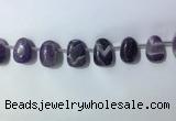 CTD2144 Top drilled 15*25mm - 18*25mm freeform dogtooth amethyst beads