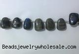 CTD2151 Top drilled 15*25mm - 18*25mm freeform labradorite beads