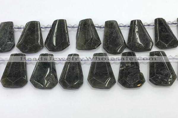 CTD2353 Top drilled 16*18mm - 20*30mm faceted freeform labradorite beads