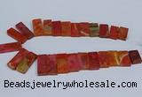 CTD2666 Top drilled 14*27mm - 16*42mm rectangle agate jasper beads