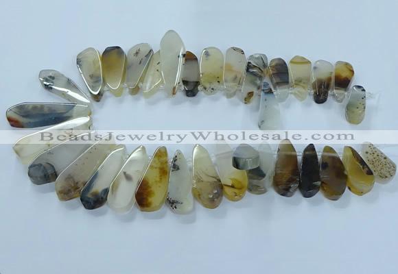 CTD2708 15.5 inches 10*25mm - 18*50mm freeform montana agate beads