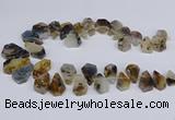 CTD2732 Top drilled 15*20mm - 25*35mm freeform montana agate beads