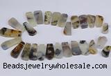 CTD2733 Top drilled 15*25mm - 20*35mm freeform montana agate beads