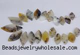 CTD2735 Top drilled 15*30mm - 25*50mm marquise montana agate beads