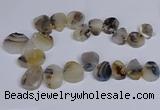 CTD2736 Top drilled 20*25mm - 35*45mm freeform Montana agate beads