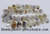 CTD2825 Top drilled 15*25mm - 25*35mm freeform Montana agate beads