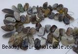 CTD3525 Top drilled 12*20mm - 15*40mm freeform botswana agate beads