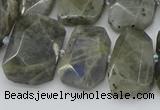 CTD3573 15.5 inches 15*20mm - 18*25mm freeform labradorite beads