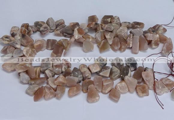 CTD3607 Top drilled 10*14mm - 13*18mm nuggets moonstone beads