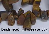 CTD3616 Top drilled 10*14mm - 13*18mm nuggets yellow tiger eye beads