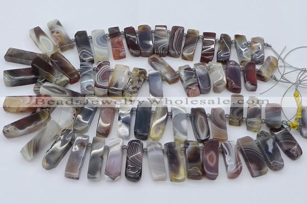 CTD3641 Top drilled 8*20mm - 10*35mm sticks botswana agate beads