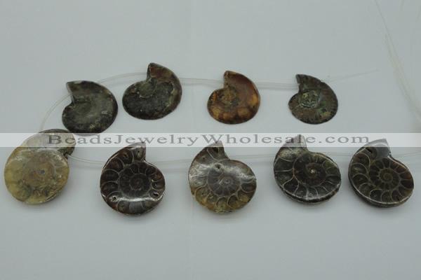 CTD365 Top drilled 25*35mm - 35*45mm carved ammonite gemstone beads