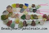 CTD3699 Top drilled 15*20mm - 25*30mm freeform mixed gemstone beads