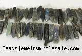 CTD3739 Top drilled 8*20mm - 10*50mm sticks labradorite beads