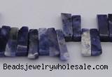 CTD401 Top drilled 4*15mm - 6*20mm sticks sodalite gemstone beads