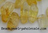 CTD452 15.5 inches 10*14mm - 15*30mm freeform citrine beads