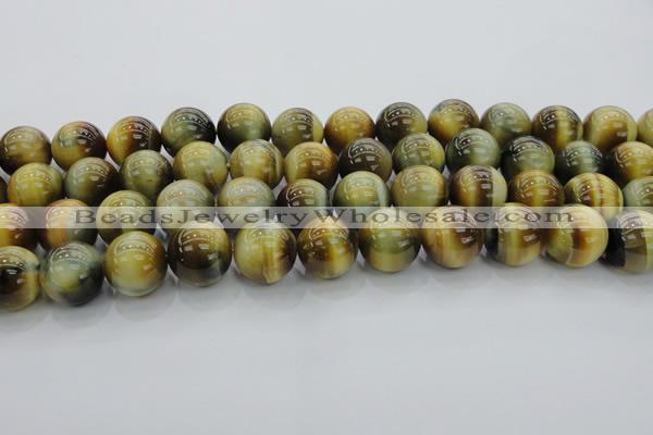 CTE1448 15.5 inches 20mm round golden & blue tiger eye beads