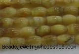 CTE1513 15.5 inches 4*6mm rice golden tiger eye beads wholesale