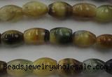 CTE1551 15.5 inches 5*8mm rice golden & blue tiger eye beads wholesale