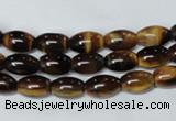 CTE158 15.5 inches 8*12mm rice yellow tiger eye gemstone beads