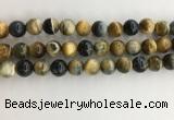 CTE2123 15.5 inches 12mm round golden & blue tiger eye beads