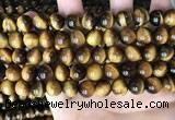 CTE2160 15.5 inches 10mm round yellow tiger eye gemstone beads